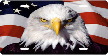 American Flag Bald Eagle License Plate Car Tags