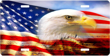 American Flag Eagle Constitution