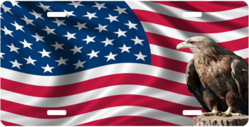 American Flag Eagle Stump License Plate